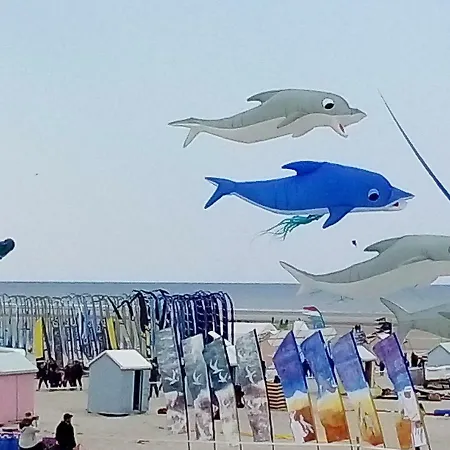 Petit Studio Proche De La Plage Berck/mer